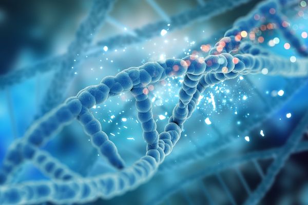 BİLİM GÖZÜYLE DNA’YI PROGRAMLAMAK