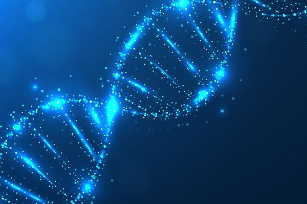 VÜCUDUMUZDAKİ MUCİZE BİLGİSAYAR: DNA